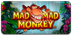 Mad Mad Monkey HQ