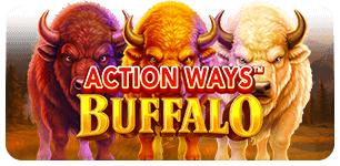 Action Ways Buffalo
