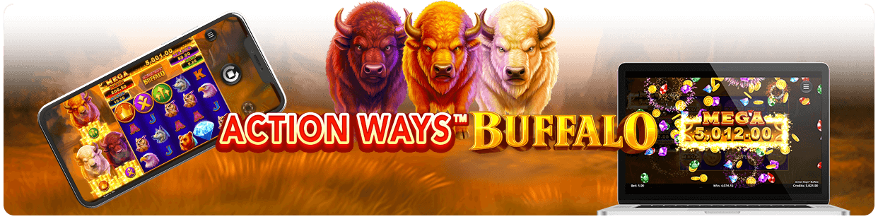 Action Ways Buffalo