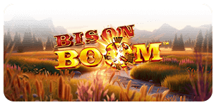 Bison Boom