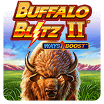 Buffalo Blitz 2