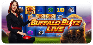 Buffalo Blitz Show