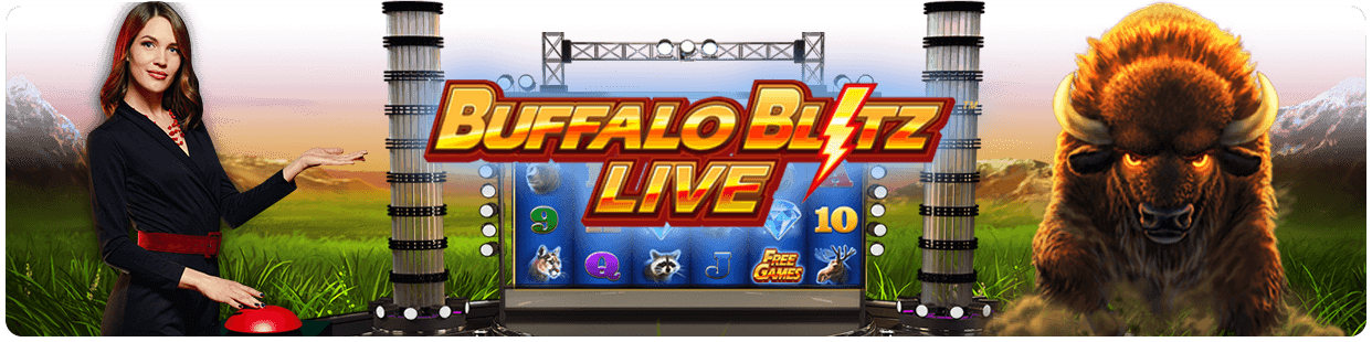 Buffalo Blitz Show