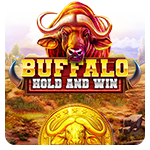 Buffalo Hold and Win