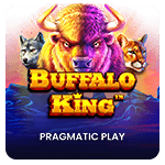 Buffalo King