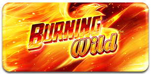 Burning Wild