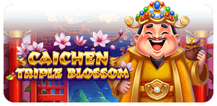 CAICHEN TRIPLE BLOSSOM