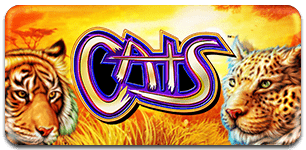 Cats old version