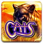 Cats old version