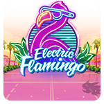 Electric Flamingo