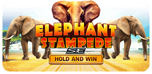 Elephant Stampede Special Edition