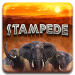 Estampida