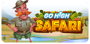 Go High Safari