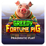Greedy Fortune Pig