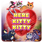 Here Kitty Kitty