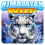 Himalayan Wild