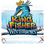 Kingfisher Winterborn