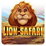 Lion Safari
