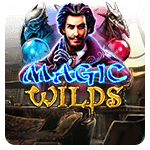 Magic Wilds