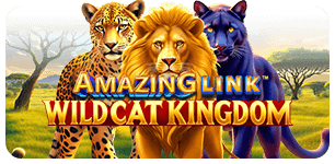 Amazing Link WildCat Kingdom