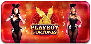 Playboy Fortunes