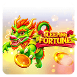 Sleeping Fortune by Light & Wonder