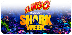 Slingo Shark Week