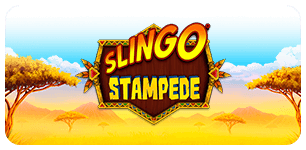 Slingo Stampede