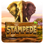 Estampida