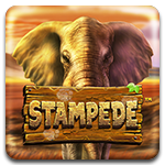 Stampede BS