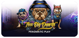 The Big Dawgs