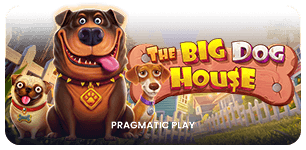 The Big Dog House