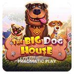 The Big Dog House
