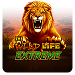 The Wild Life Extreme