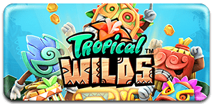 Tropical Wilds