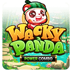 Wacky Panda Power Combo