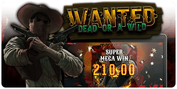 Wanted Dead or a Wild