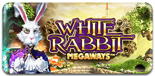 White Rabbit