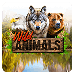 Wild animals