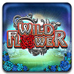Wildflower