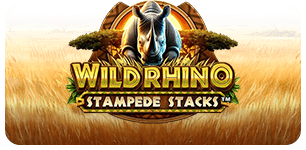 Wild Rhino Stampede Stacks