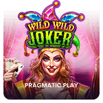 Wild Wild Joker