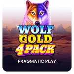 Wolf Gold 4 Pack