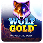 Wolf Gold