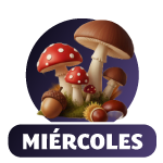 D&iacute;a 3 - El Bosque Encantado